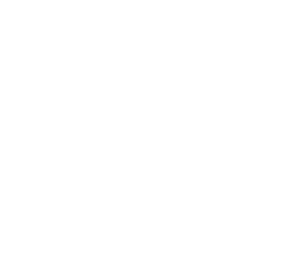 Valophis